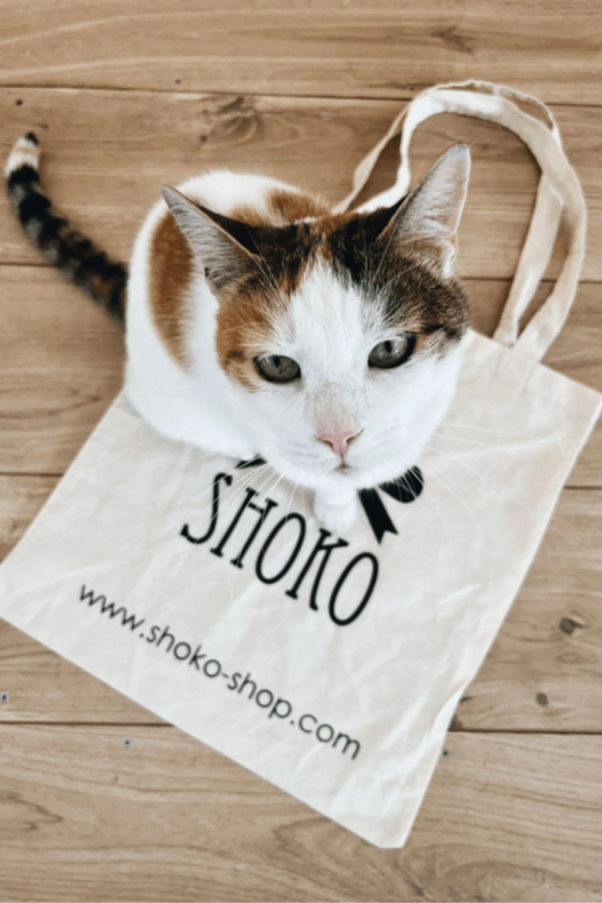 Shoko Tote Bag - Image 7